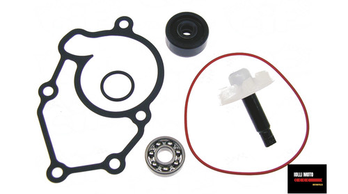 Kit revisione pompa - revisione, tipo