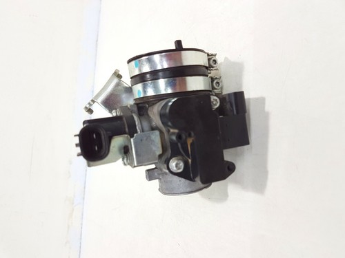5d7e375001 corpo farfallato - 5d7e375001,